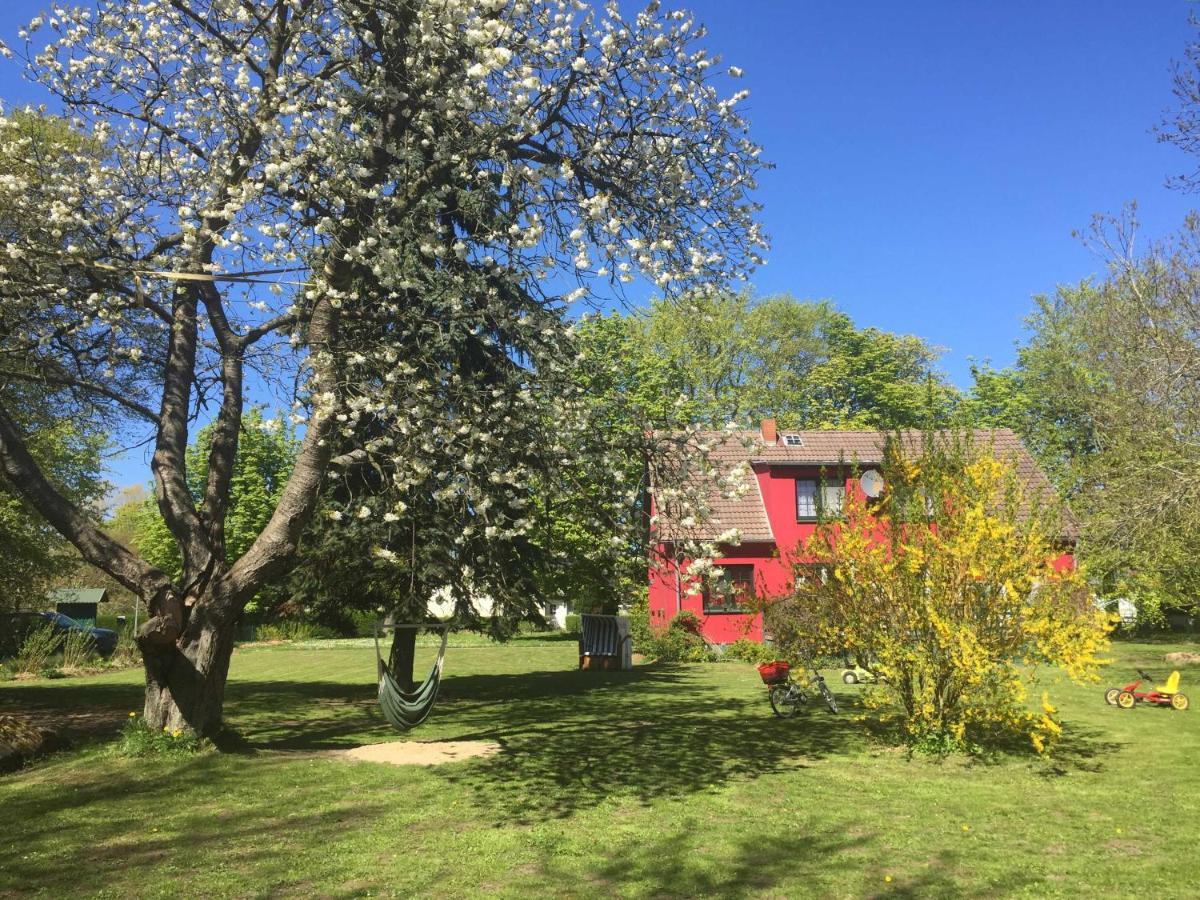 Ferienhaus 1 _ Ferien Im Gutspark Mattchow 外观 照片