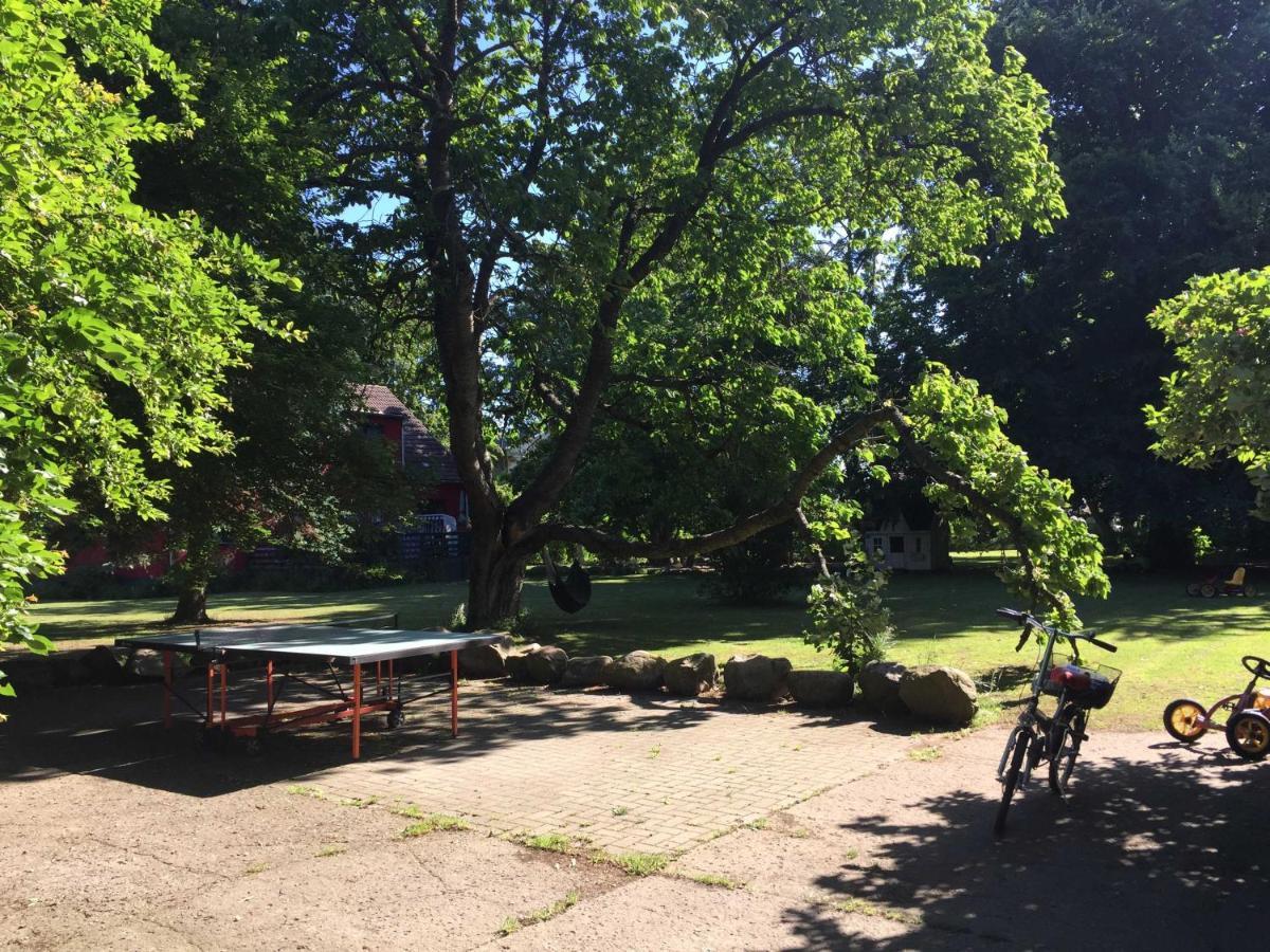 Ferienhaus 1 _ Ferien Im Gutspark Mattchow 外观 照片